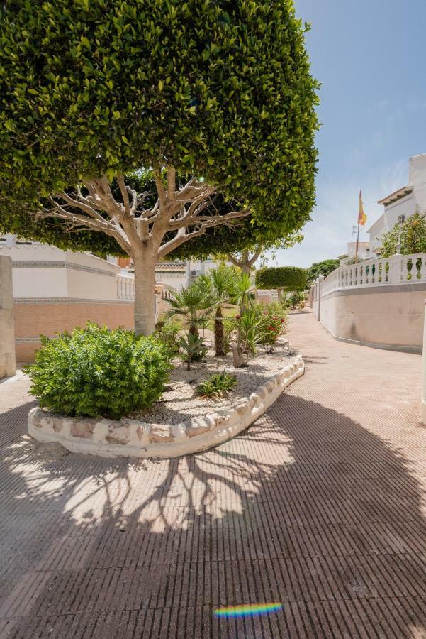 Apartament "Parque Mar" La Mata  Eksteriør bilde